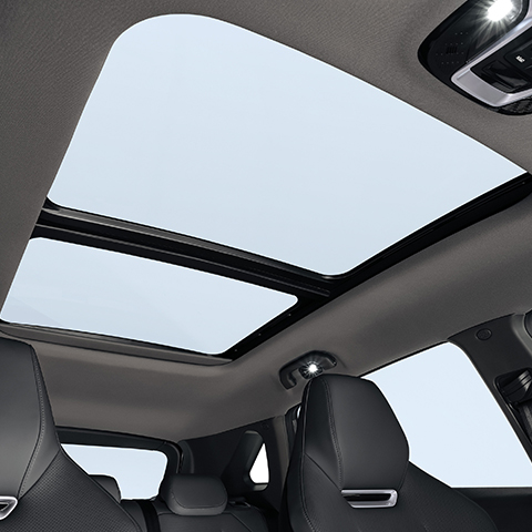 Vive la aventura al máximo